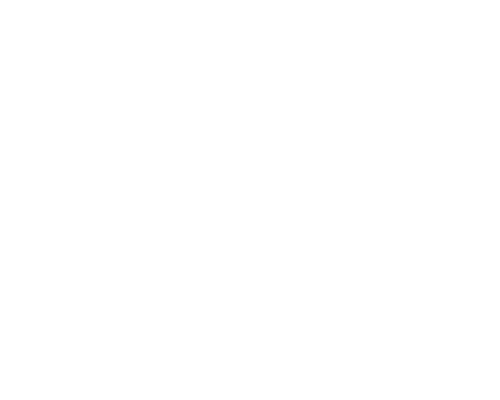 Partners