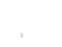 Color (Non-white)
