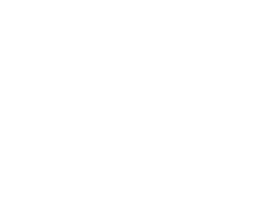 Partners