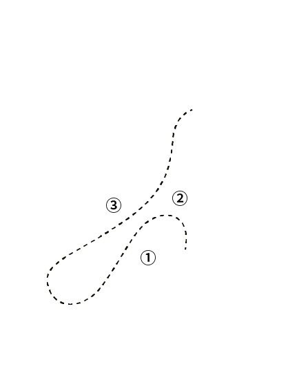 HISTORY OF GOOSE <br /> SCIENTIFIC AMERICAN (USA) reported: About 220 million years ago, ancestor of goose was the companion of dinosaur, scientists discovered a goose fossil from 70 million years ago. ancestor of goose was the companion of dinosaur, scientists discovered a goose fossil from 70 million years ago.