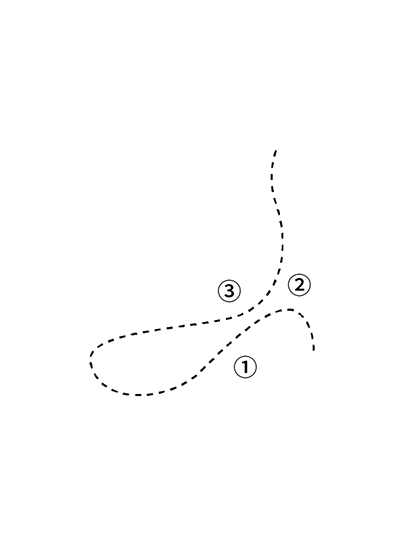 HISTORY OF DUCK  <br /> Zoology of China (China) Vol.2 conclude: the common domestic ducks were domesticated from mallard ducks and spot-billed ducks.